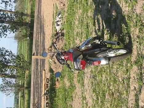 Puch Monza - #SOLGT# billede 2