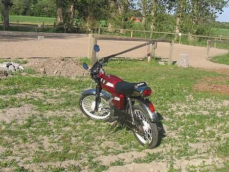 Puch Monza - #SOLGT# billede 3
