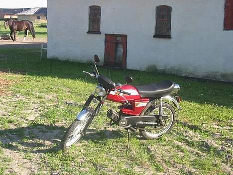 Puch Monza - #SOLGT# billede 4