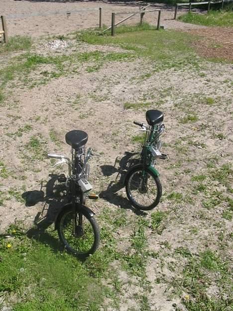 Puch Monza - #SOLGT# billede 5