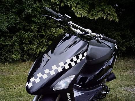 Honda SFX billede 7