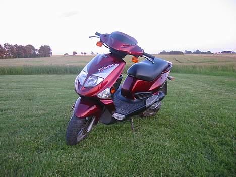 PGO T-Rex - SOLGT!!!! - Ja sådan så den ud da jeg købte den af en kammerat i oktober 2004 den havde en smule rust og trængte til en kærlig hånd! billede 1