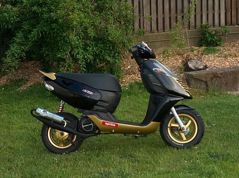 Aprilia Sonic GP billede 1