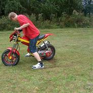 Suzuki Street Magic >speedfight?