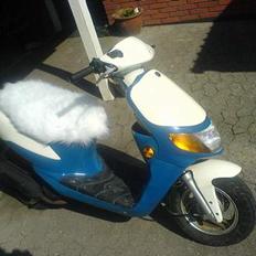 Siamoto birdie - VÆK.............