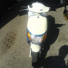 Siamoto birdie - VÆK.............