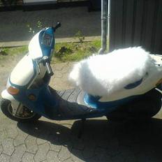 Siamoto birdie - VÆK.............