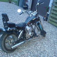 Honda - (Team LongWood) - SOLGT