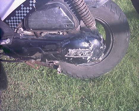 PGO Hot 50 billede 2