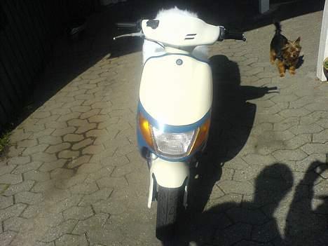 Siamoto birdie - VÆK............. - Efter billede 2