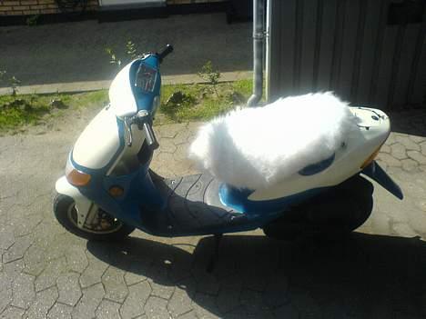 Siamoto birdie - VÆK............. - Efter billede 3