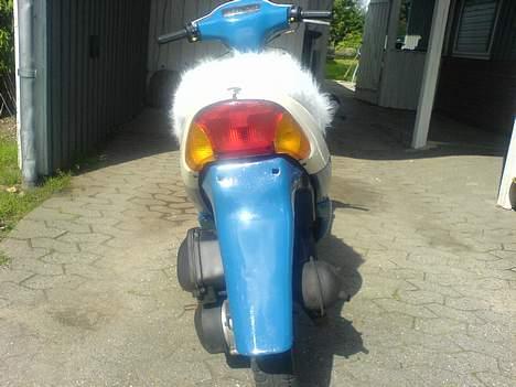 Siamoto birdie - VÆK............. - Efter billede 4