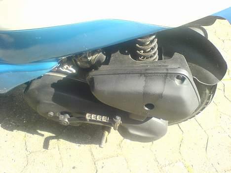 Siamoto birdie - VÆK............. - Efter billede 5