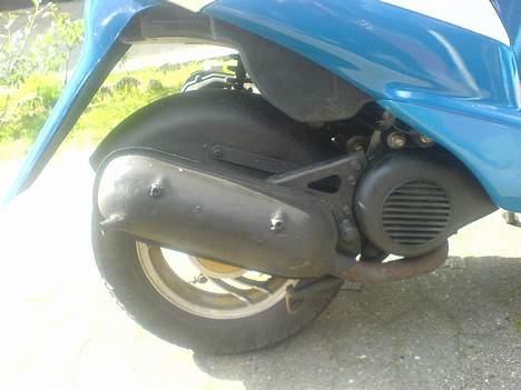 Siamoto birdie - VÆK............. - Efter billede 6