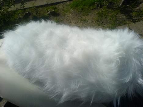 Siamoto birdie - VÆK............. - Efter billede 7