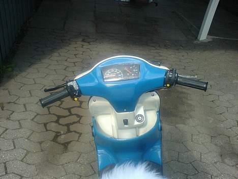 Siamoto birdie - VÆK............. - Efter billede 8