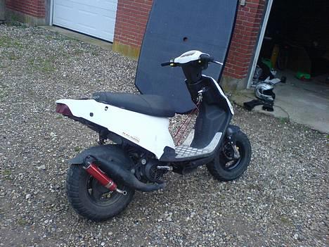 PGO hot 50  byttet til BWS billede 2