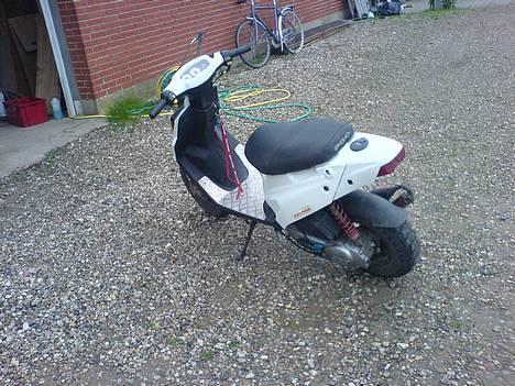 PGO hot 50  byttet til BWS billede 3