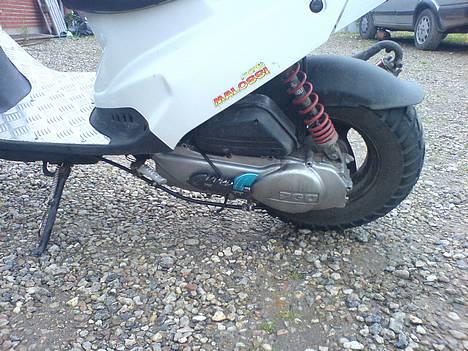 PGO hot 50  byttet til BWS billede 5