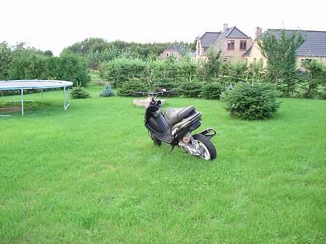 Gilera Stalker byttet til sonic billede 12