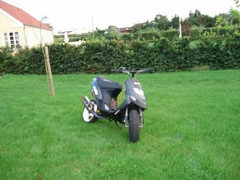 Gilera Stalker byttet til sonic billede 14