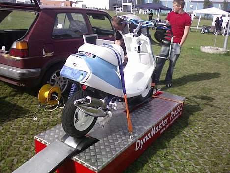 Yamaha Jog FS Perlemor - Felt til Herning Træf, brudte desværre samn inden jeg nåede og få en måling, var ellers først i køen... :( billede 19