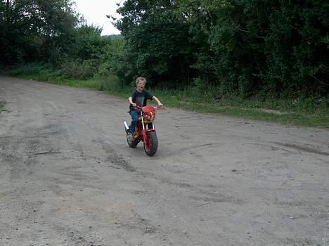 Suzuki Street Magic >speedfight? - Michael ser så søøød ud på billeder? ;) billede 4