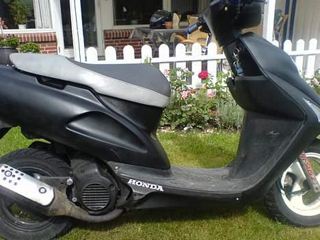 Honda SFX (SOLGT) billede 3