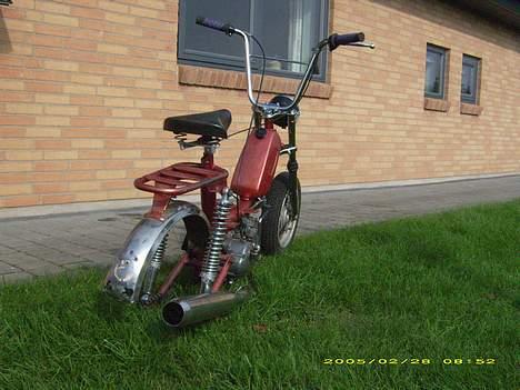 Garelli katia billede 9