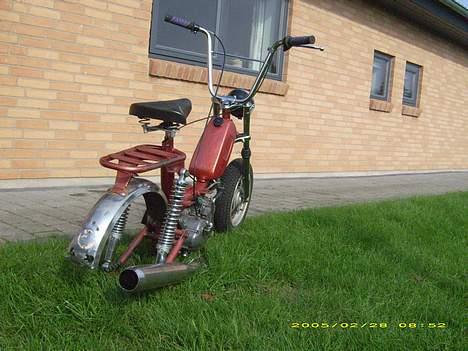 Garelli katia billede 10