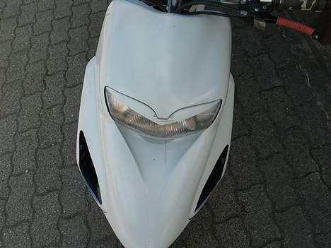 Honda sfx billede 7