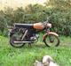 Puch vz50 (stort projekt)
