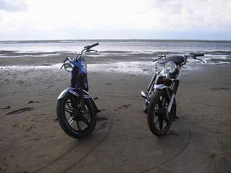 Puch Monza 3-gear  - Min og min vens Monza... Er de ikke smukke?? billede 13