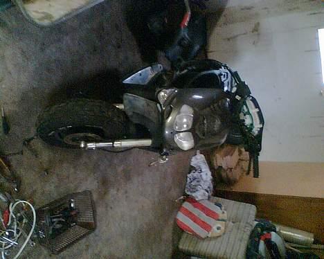 Aprilia Rally AC  billede 3