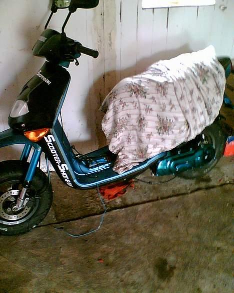 Aprilia Rally AC  billede 12