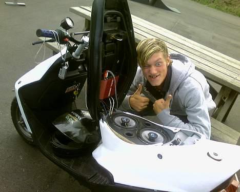 Kreidler Easy rider (SOLGT) - det er min ven mark det stener ledt for vildt billede 6