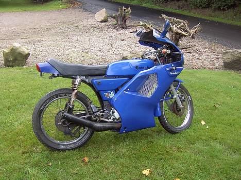 Yamaha 4g solgt billede 10