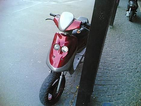Adly cat  byttet billede 4