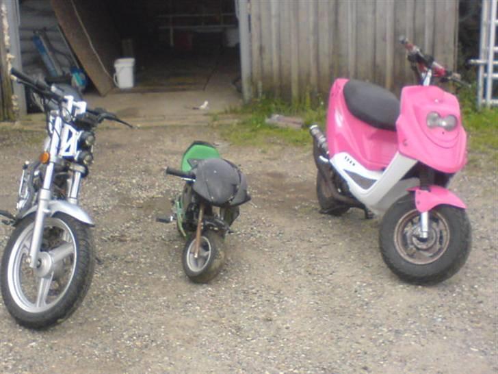 PGO Hot 50 LC  solgt billede 7