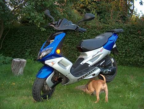 Peugeot Speedfight 2 LC billede 13