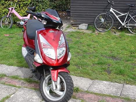 PGO Dr. Big ( SOOLGT ) billede 2