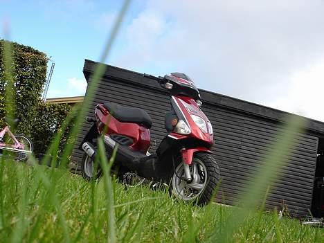 PGO Dr. Big ( SOOLGT ) billede 6