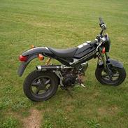 Suzuki Street Magic (solgt)