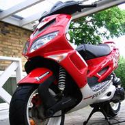 Peugeot speedfigt 206