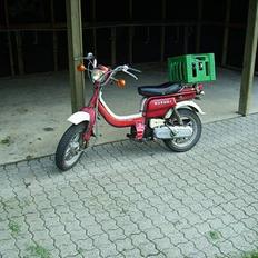 Suzuki FZ50(SOLGT)