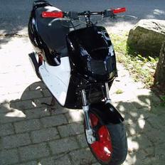 Aprilia Rally LC