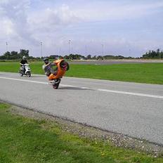 Aprilia Sonic Lc TAGET AF PANSERN