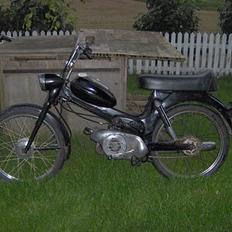Puch ms50 