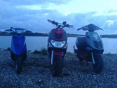 Kymco Super 9 - Solgt - Kammiers Jog og Sonic med min Kymco. Taget d. 28/8 - 06 billede 15