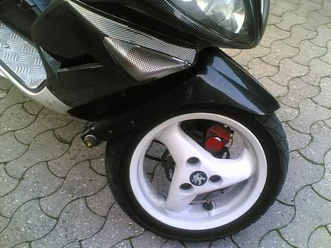 Peugeot Speedfight WRC 307 Carbon billede 2